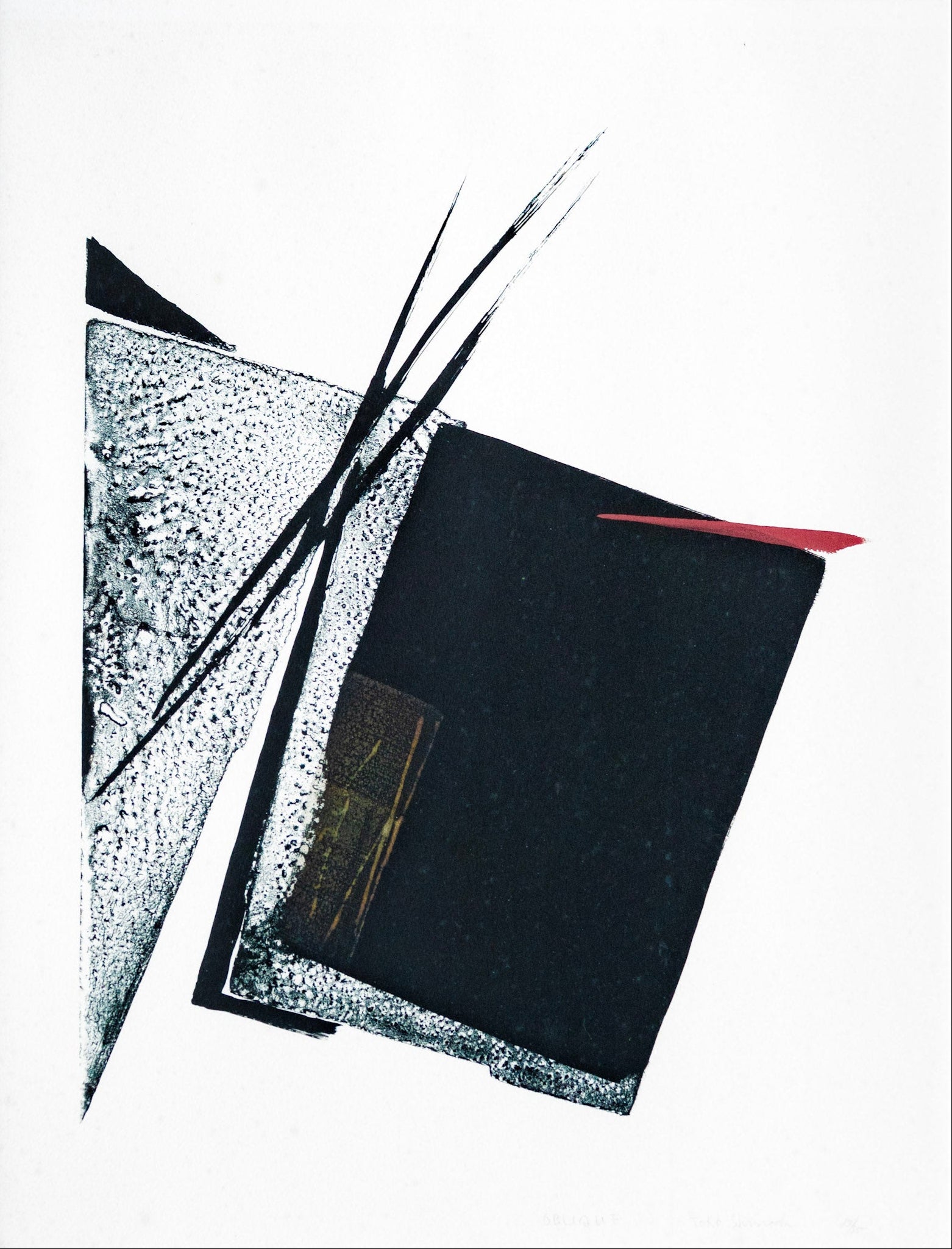 Toko Shinoda, Oblique, Undated