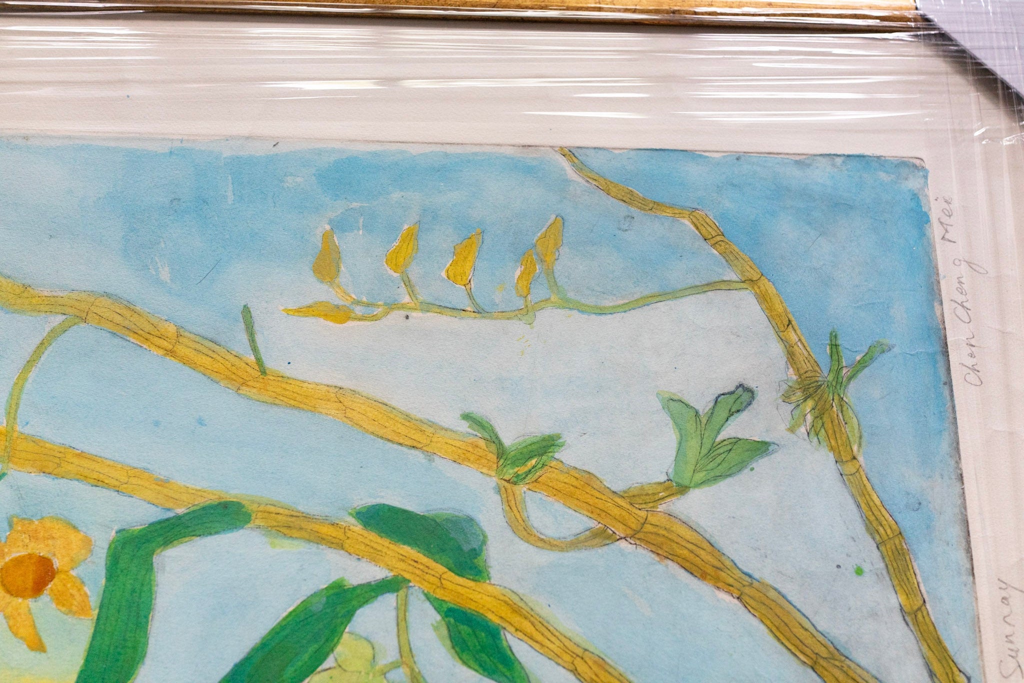 Chen Cheng Mei, Sunrays, Undated