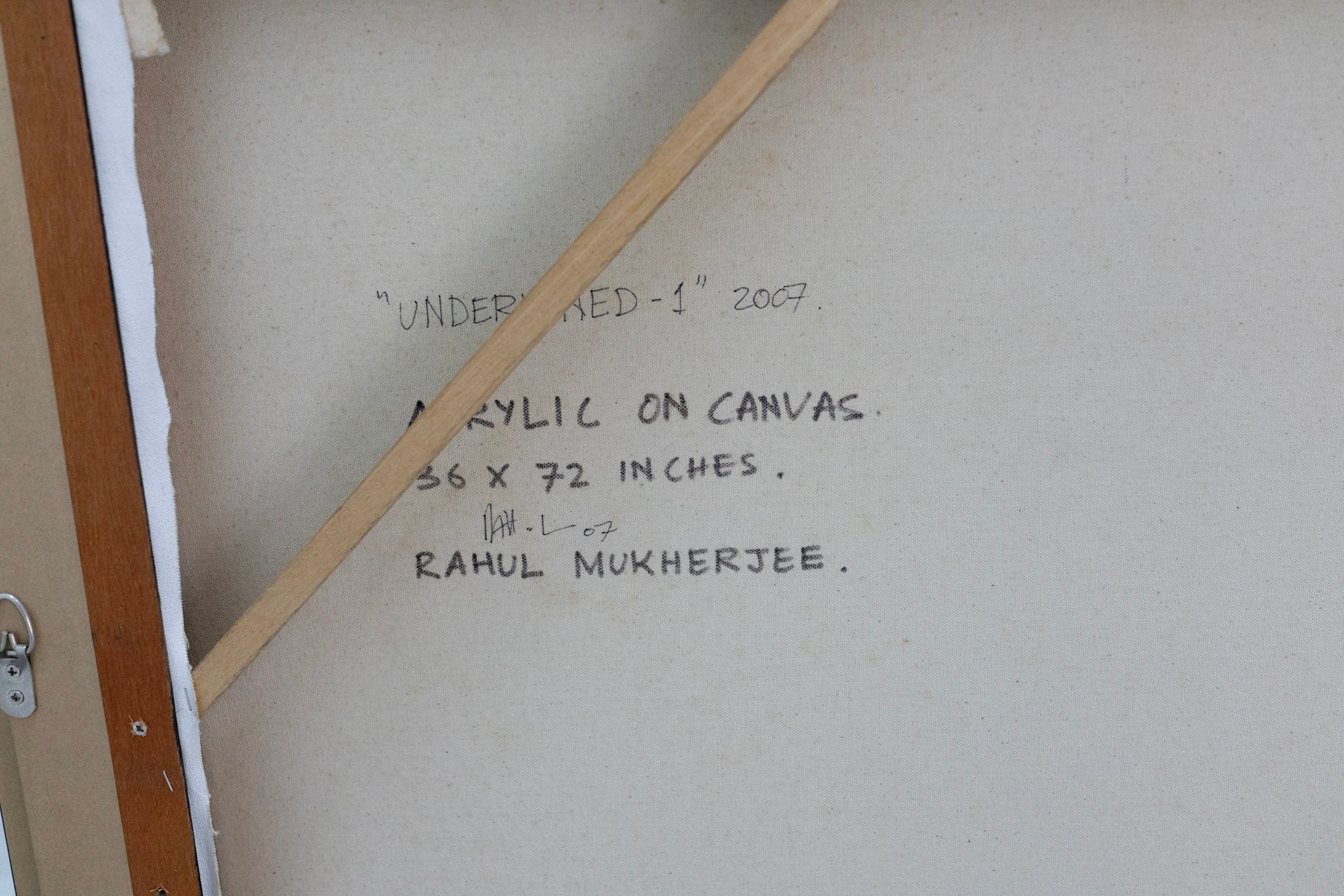 Rahul Mukherjee, Untitled (Tiger Pants), 2007