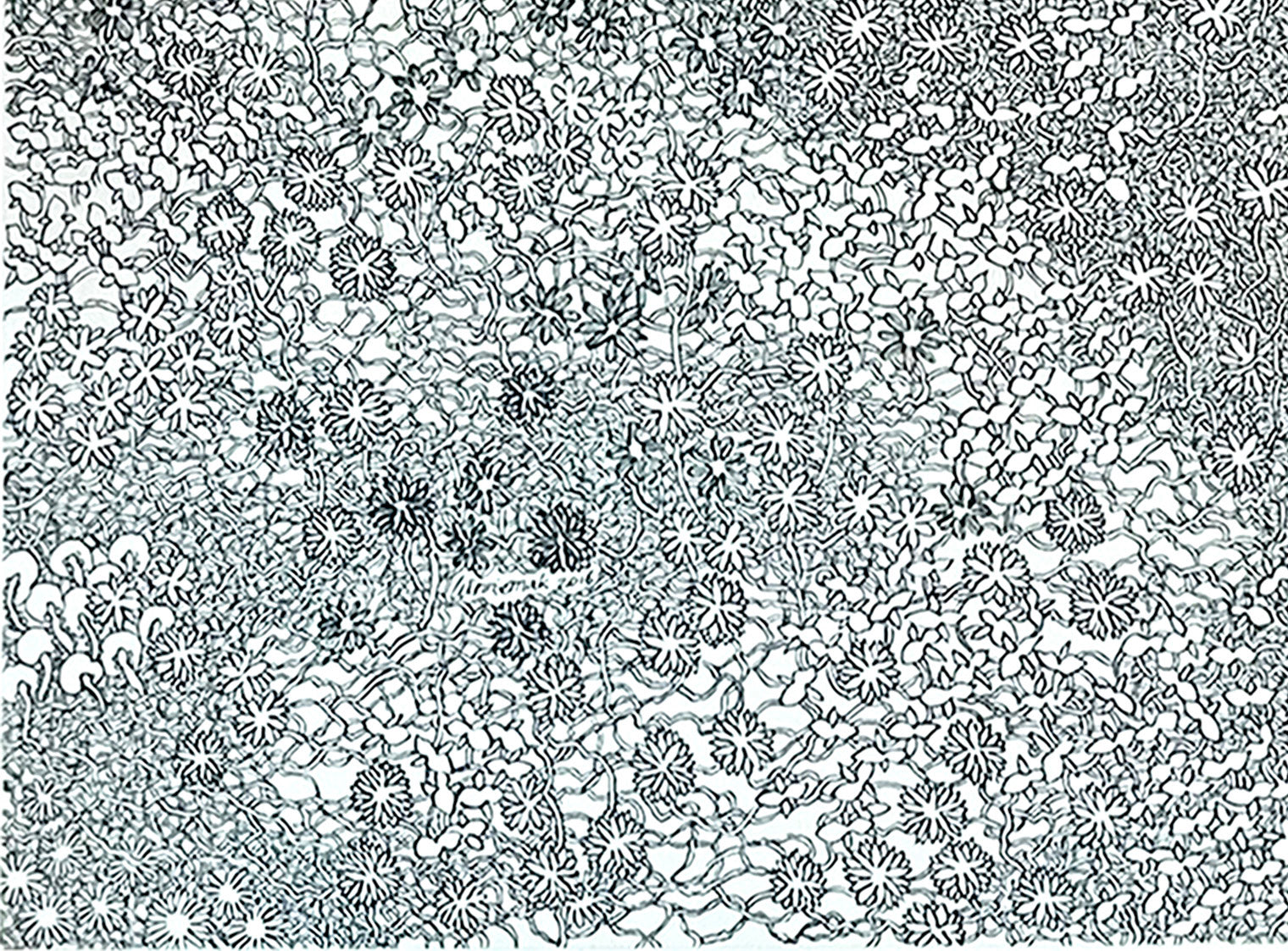 Winnie Mak, Morning Dew, 2016