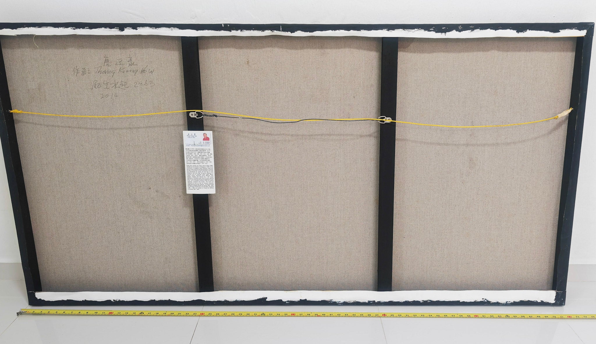 Thang Kiang How, Thriving and full of momentum 风生水起 2863, 2014