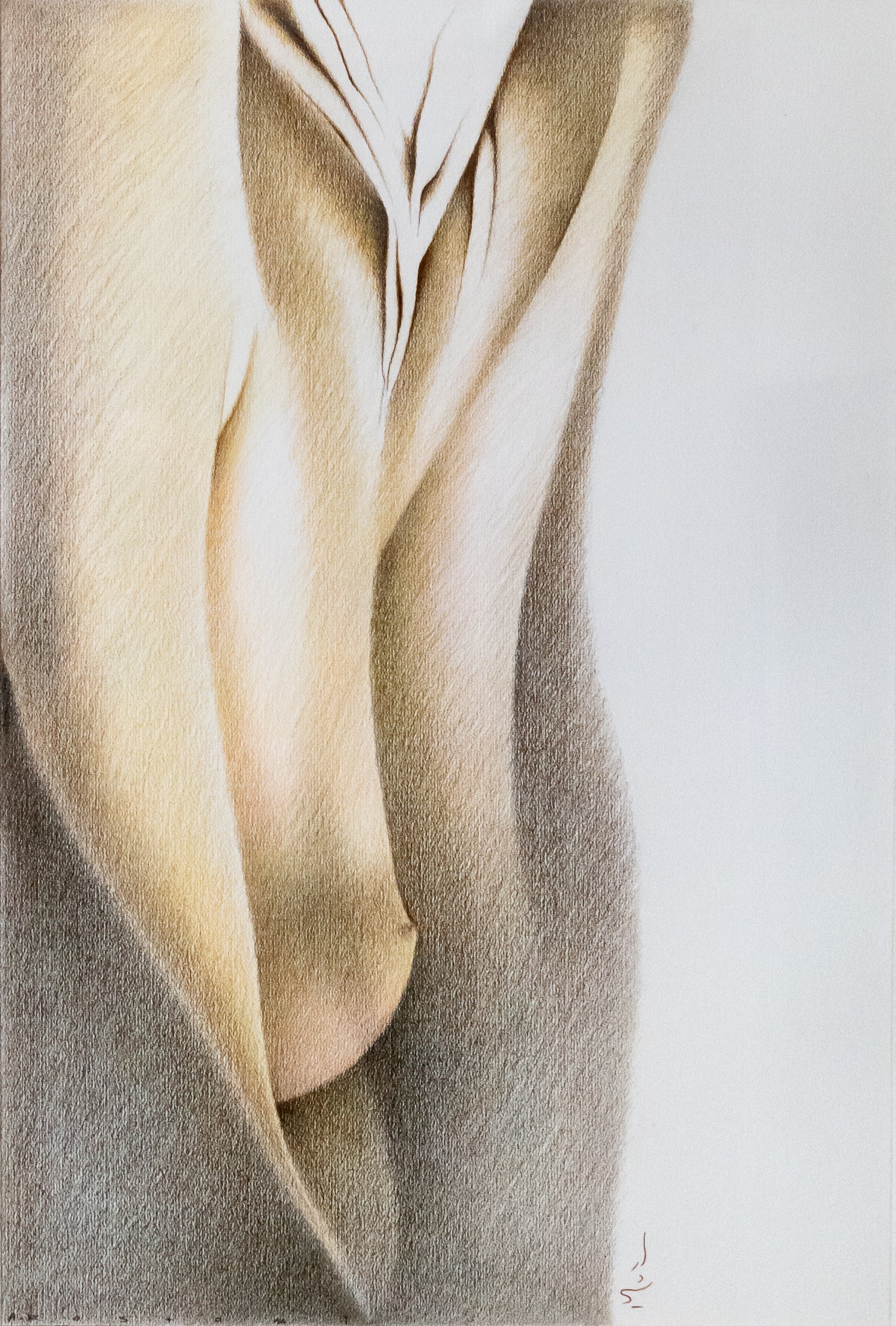 Ardeshir Rostami, Untitled (Undulations), Undated