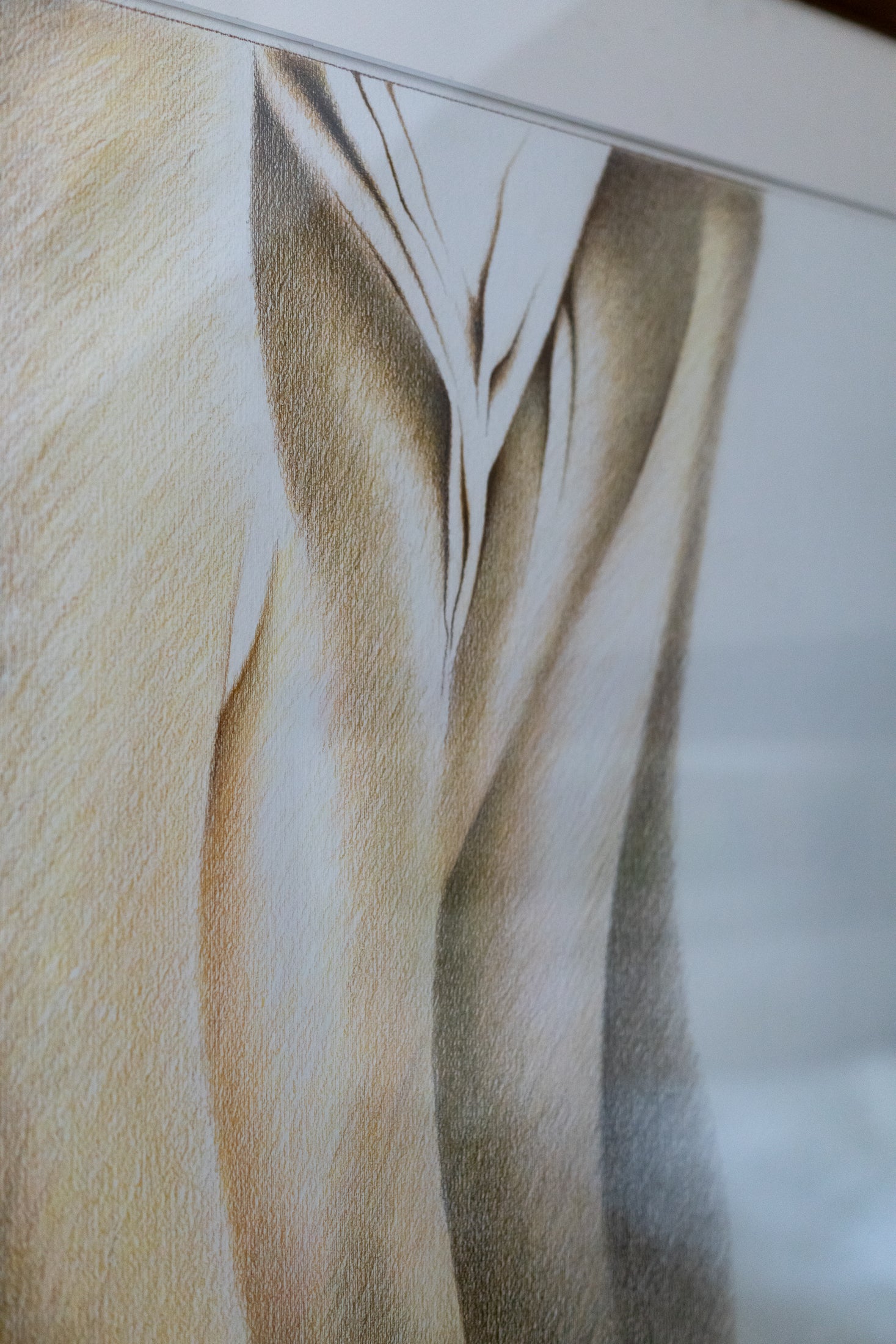 Ardeshir Rostami, Untitled (Undulations), Undated