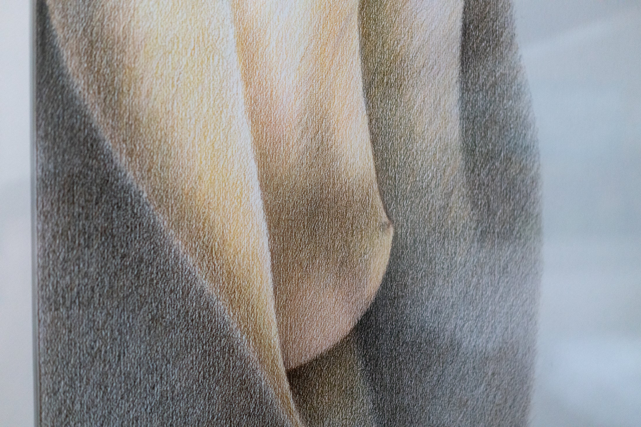 Ardeshir Rostami, Untitled (Undulations), Undated