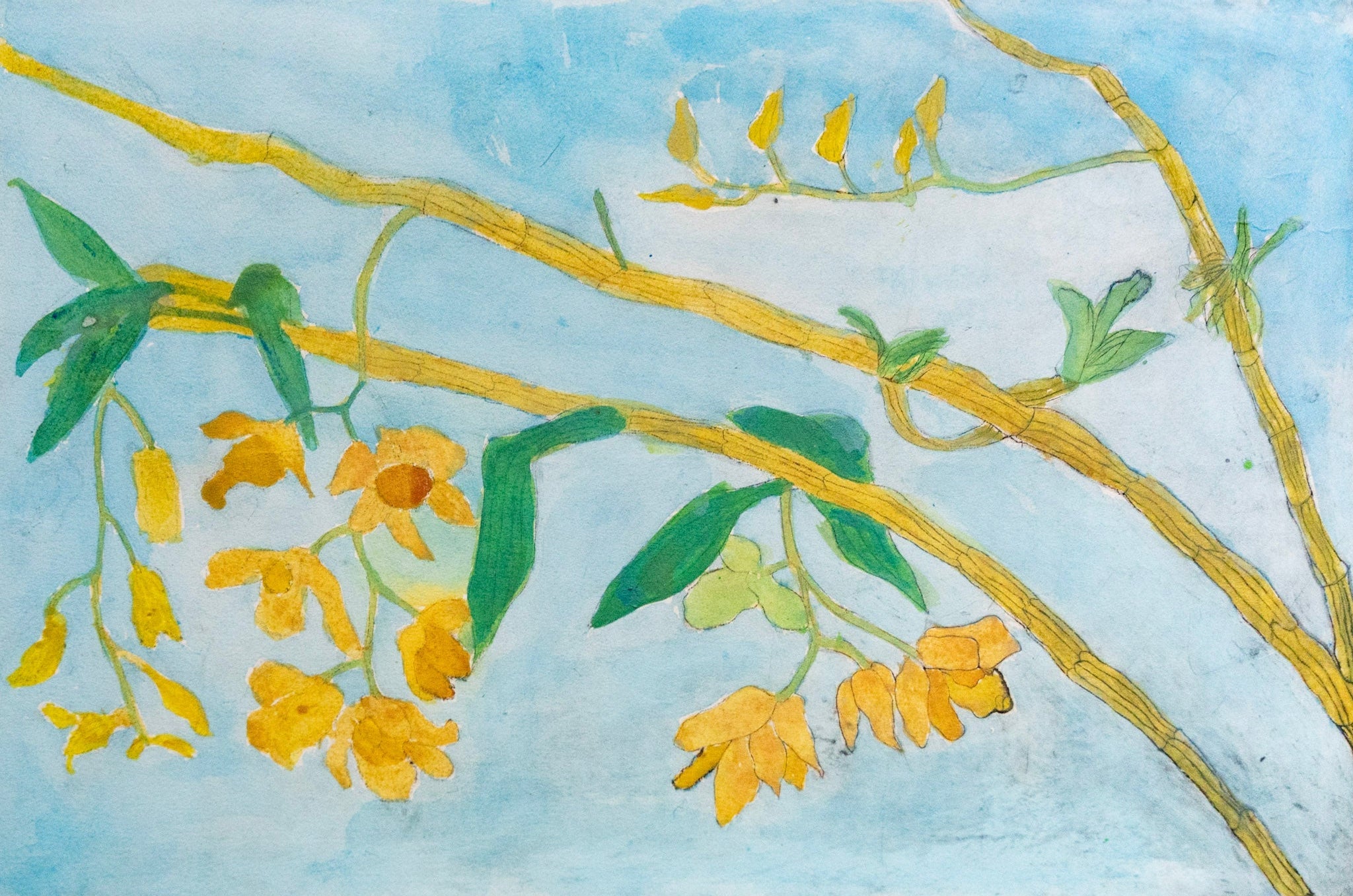 Chen Cheng Mei, Sunrays, Undated