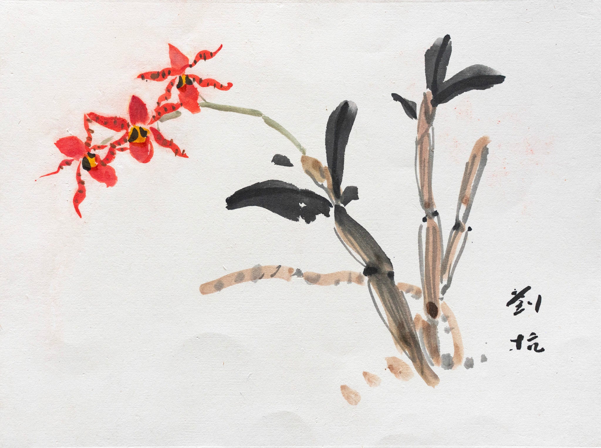 Liu Kang, Wild Orchids, Undated