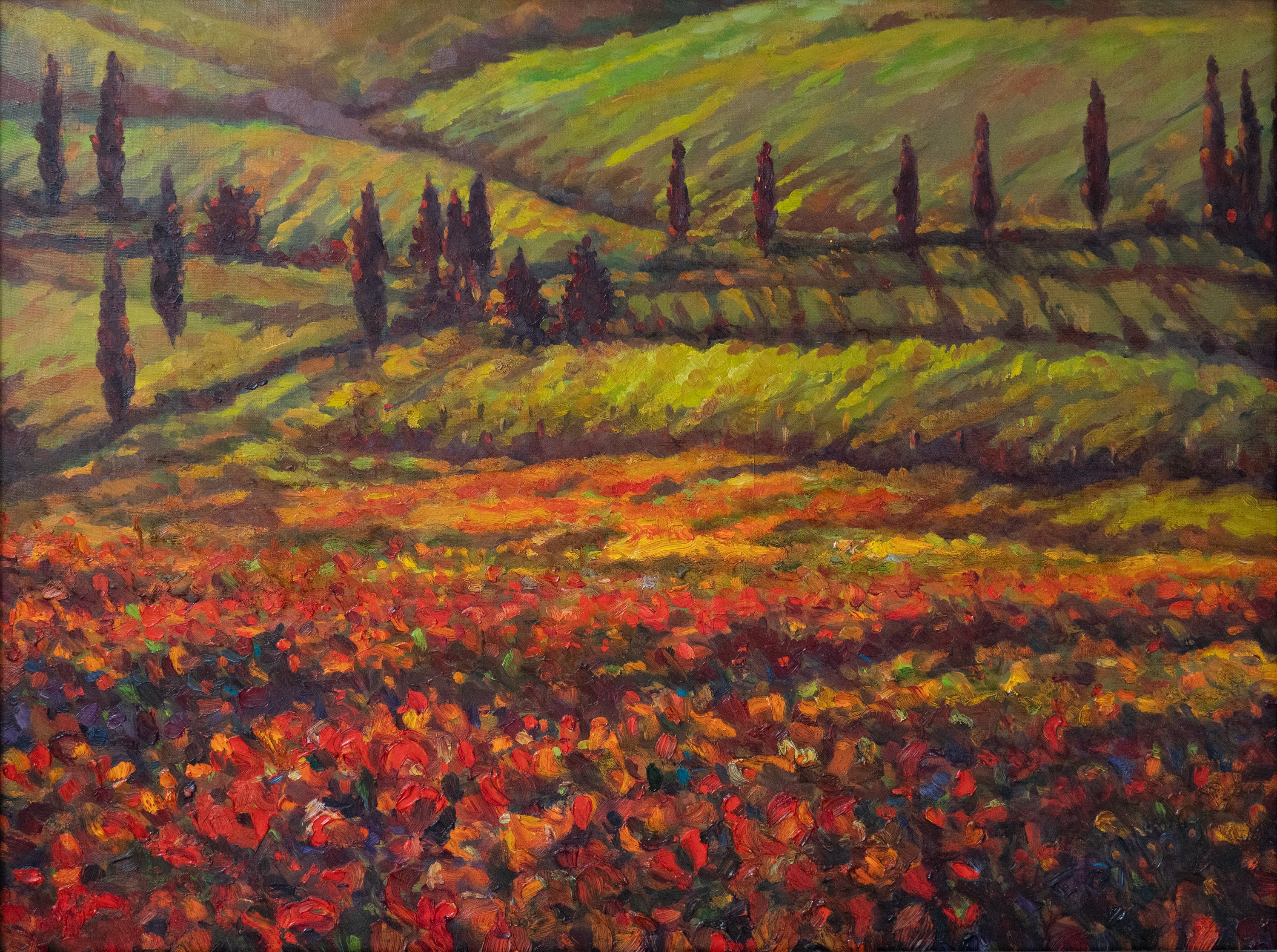 Alexandr Muha, Landscape of Tuscany, Undated