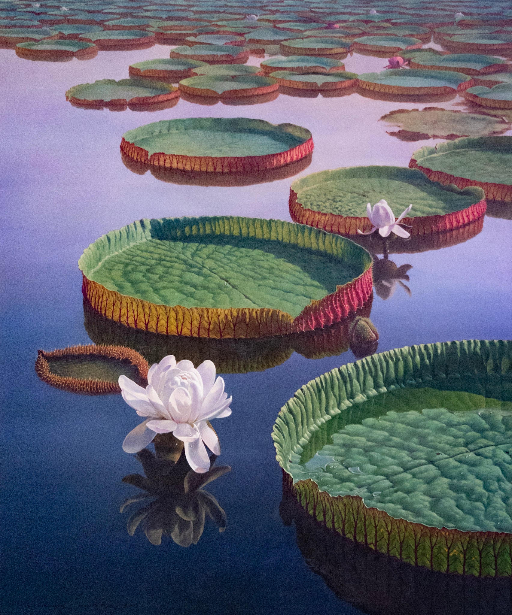 Unknown Artist, Untitled (Lotus Pond at Dawn), 2007