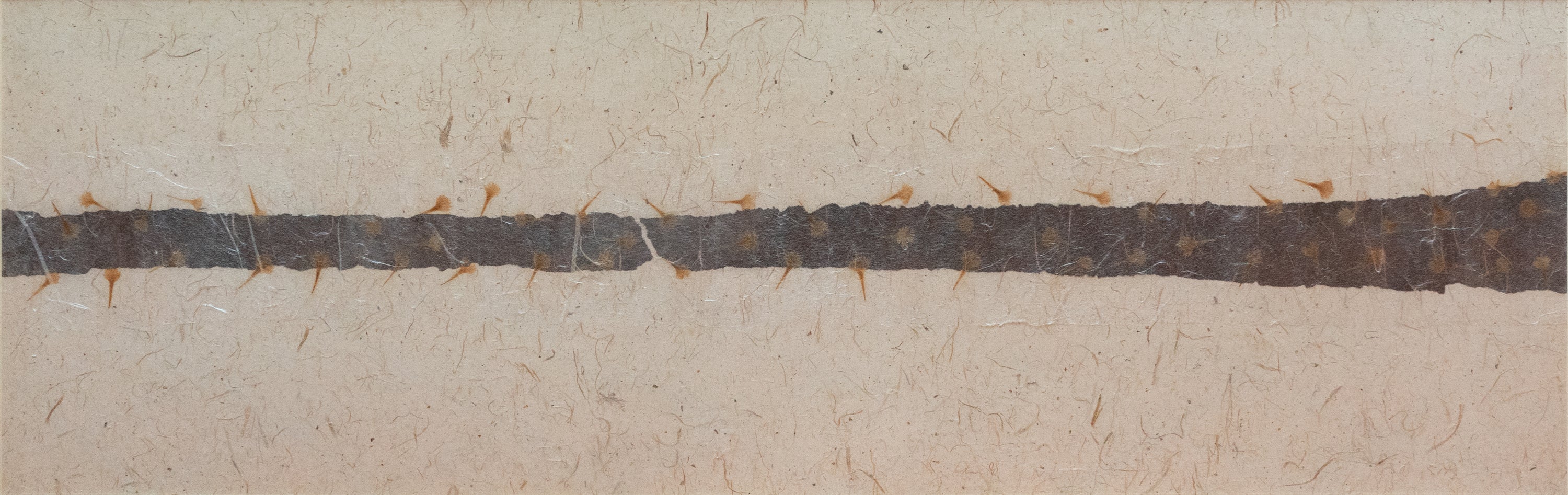 Yang Yang, Untitled (Ginkgo), Undated