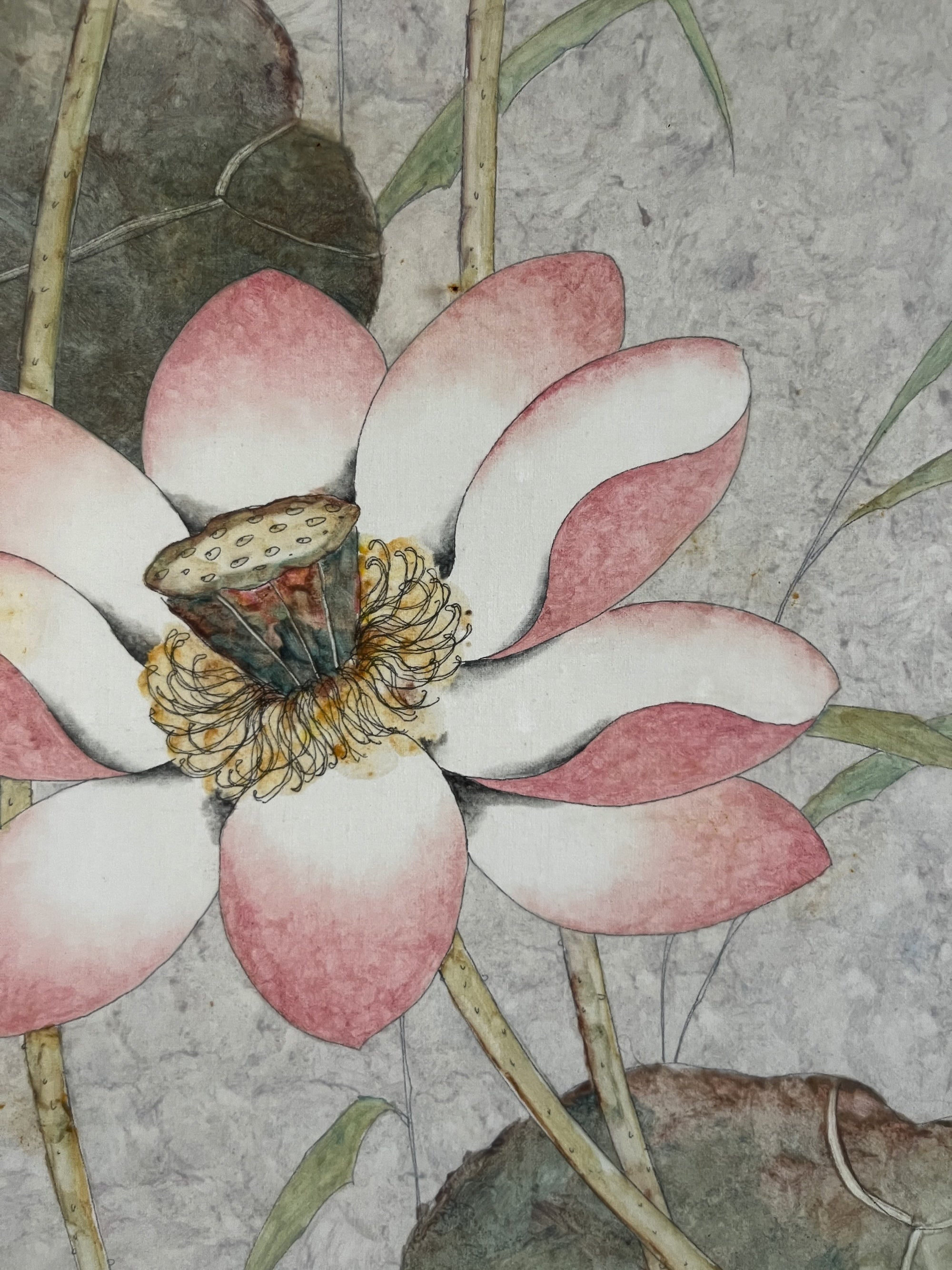 Petcharin, Untitled (Lotus Pond), Undated