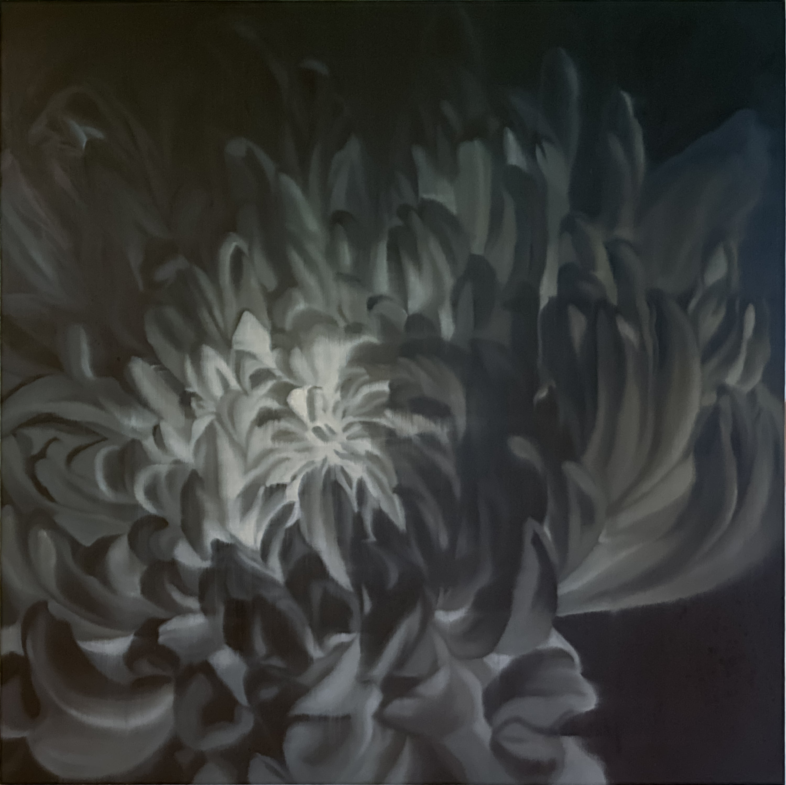 Eric Chan, Untitled (Monochrome Chrysanthemum), Undated