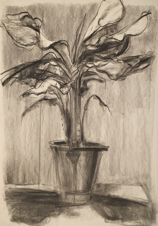 Jimmy Ong, Night Banana (Night Still Life series), 2002