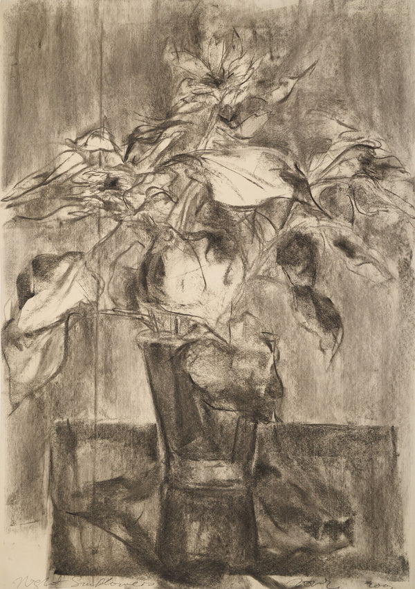 Jimmy Ong, Night Sunflowers (Night Still Life series), 2002